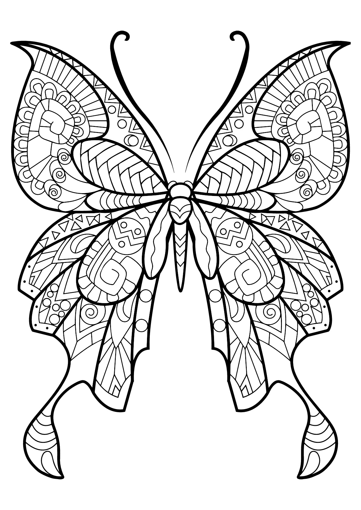 55 Butterflies Coloring Pages Printable 21