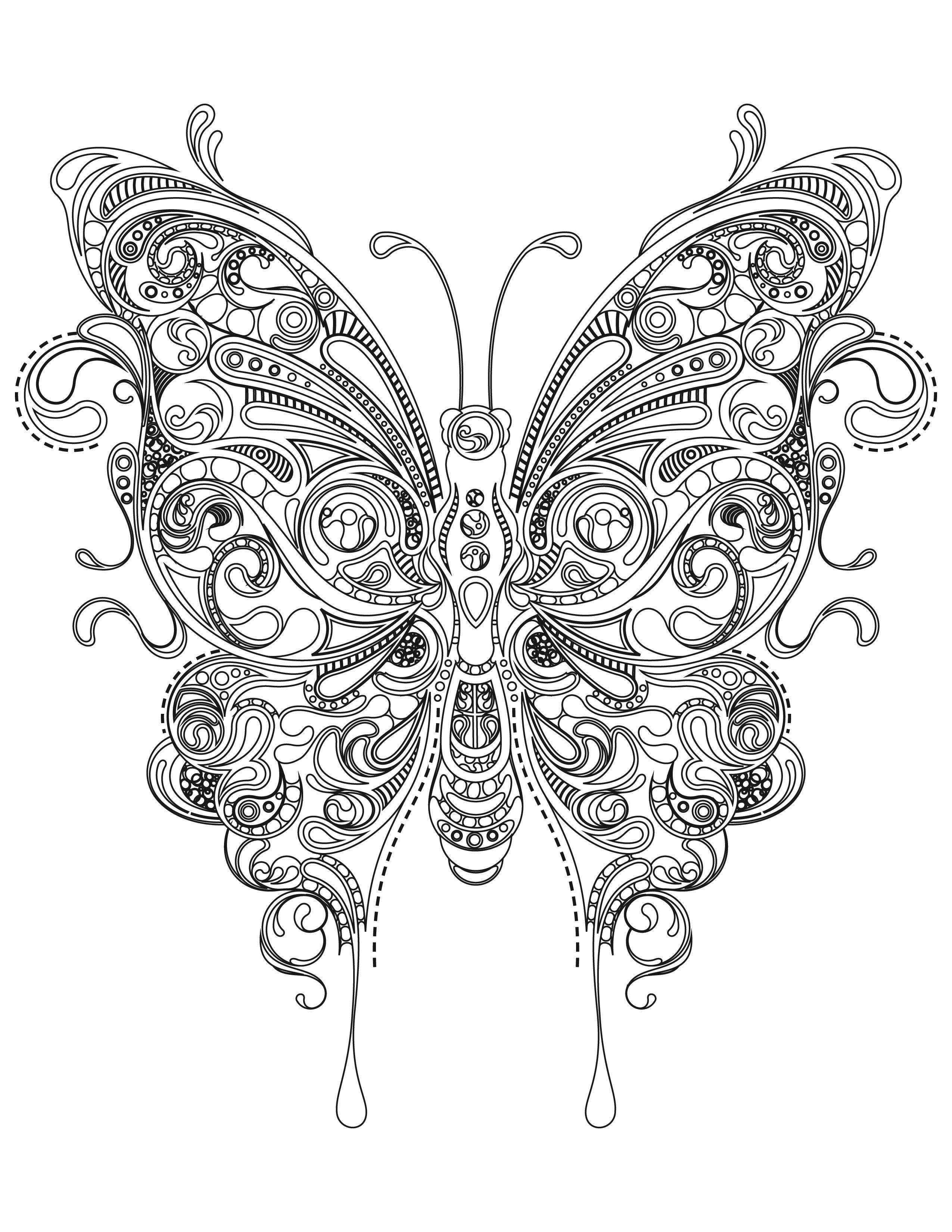 55 Butterflies Coloring Pages Printable 22