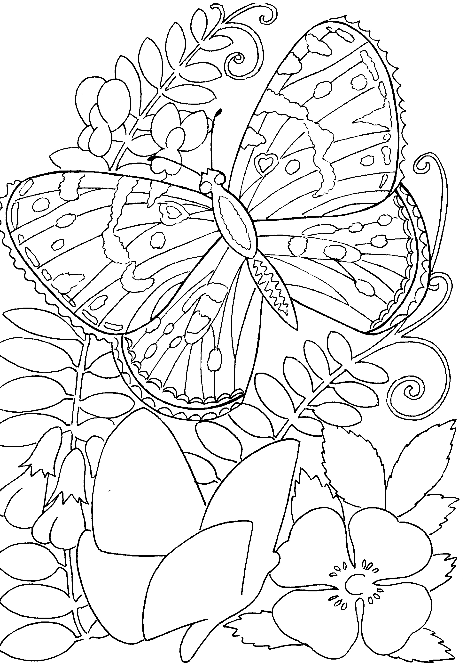 55 Butterflies Coloring Pages Printable 27