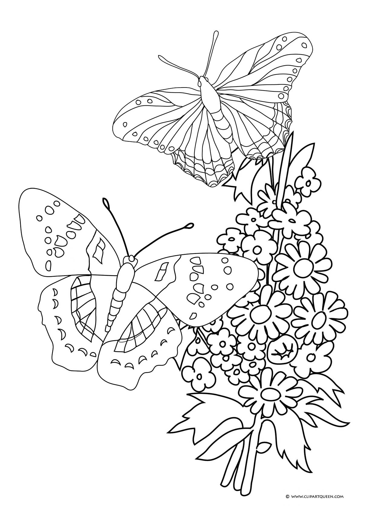 55 Butterflies Coloring Pages Printable 30