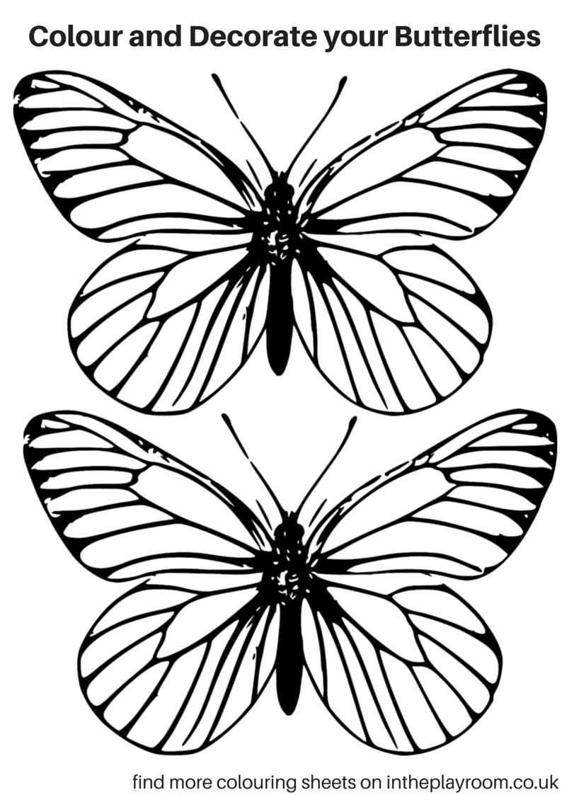 55 Butterflies Coloring Pages Printable 32