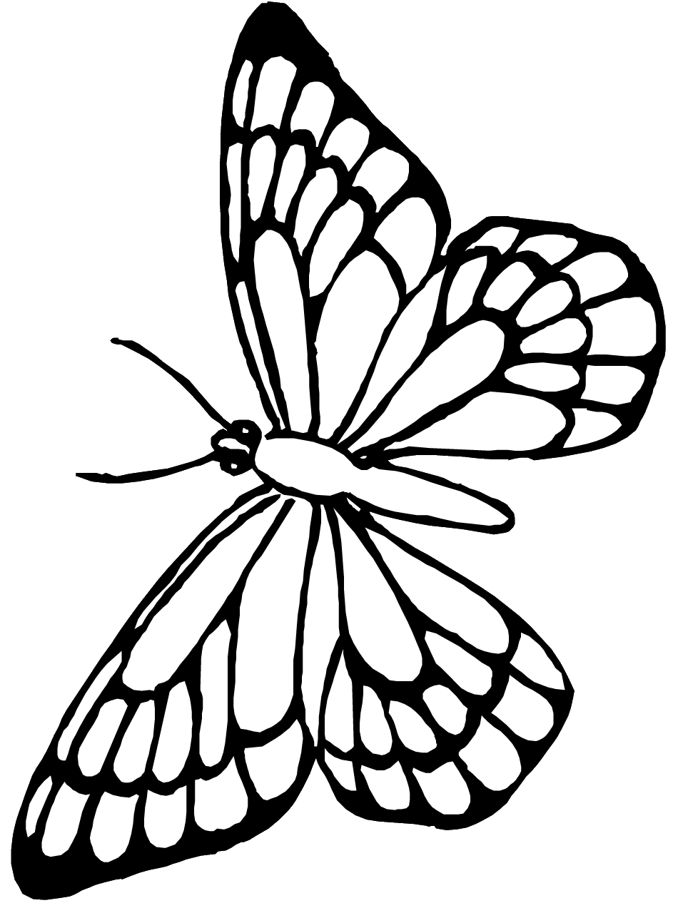 55 Butterflies Coloring Pages Printable 34