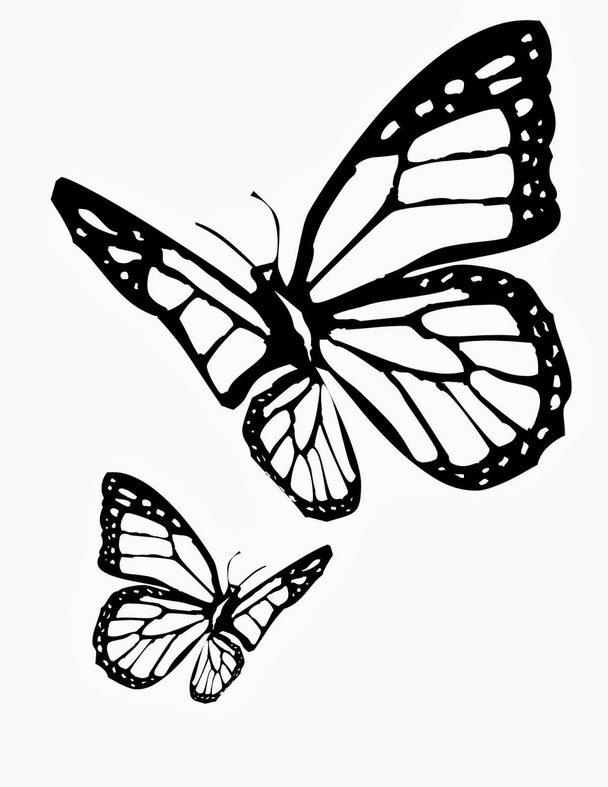 55 Butterflies Coloring Pages Printable 36