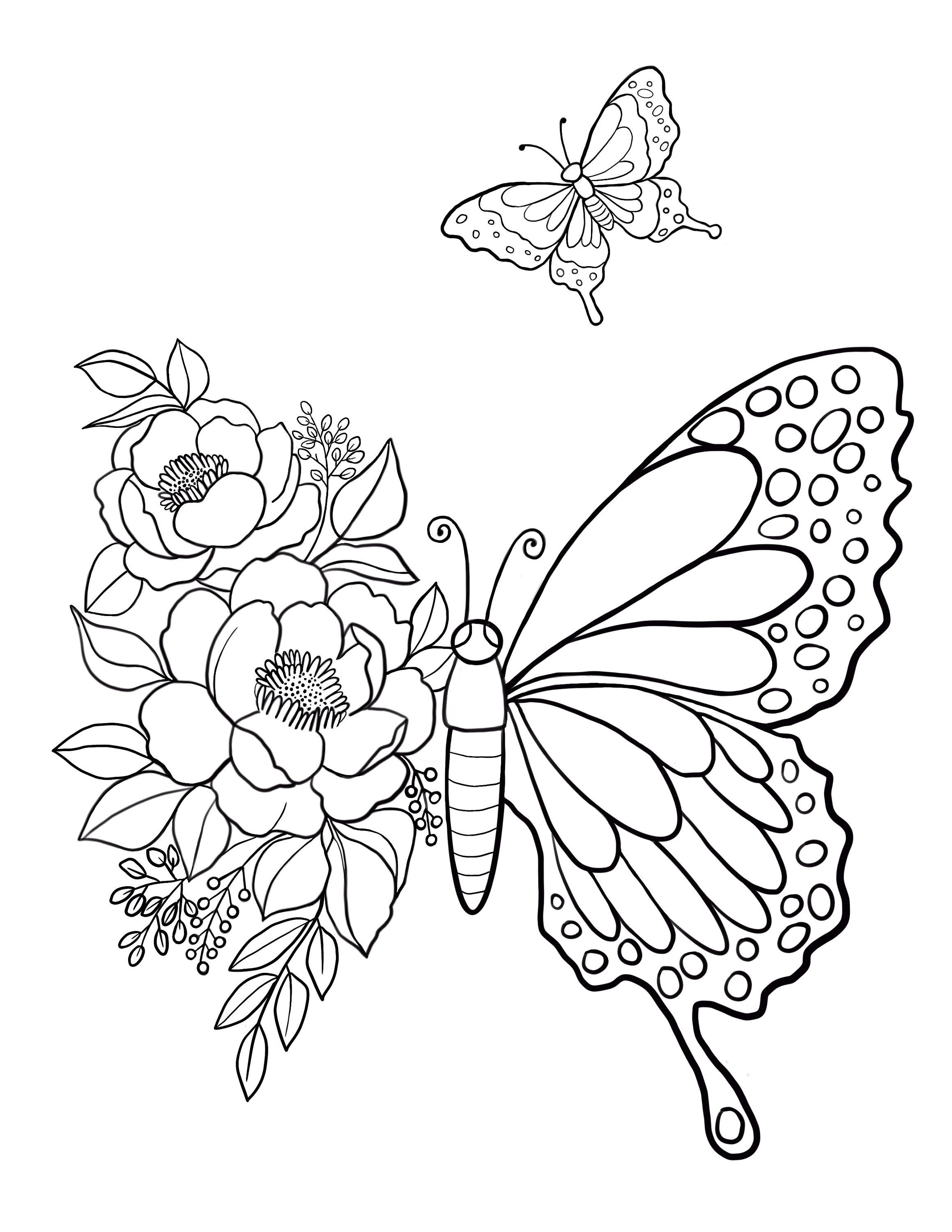 55 Butterflies Coloring Pages Printable 37