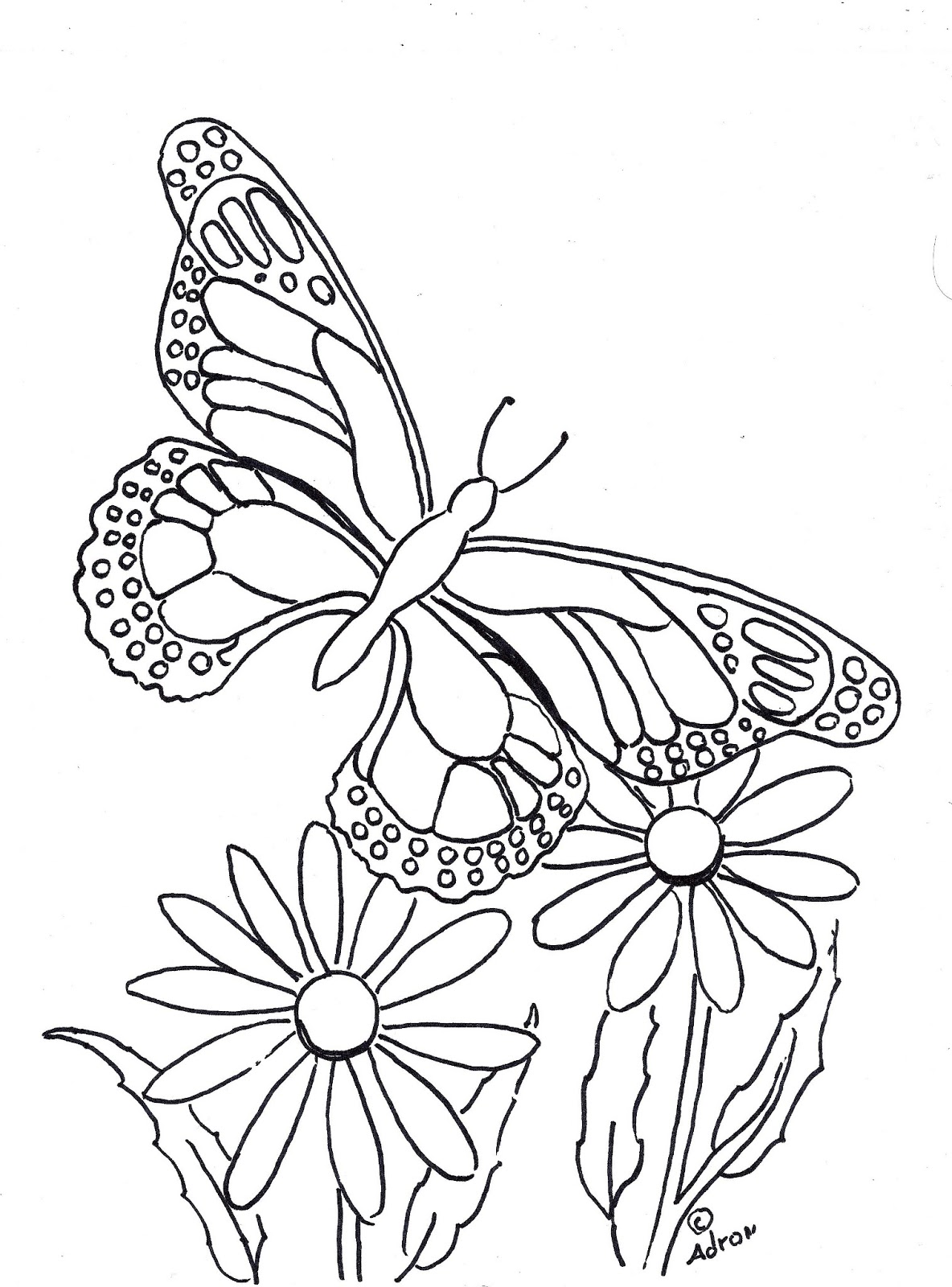 55 Butterflies Coloring Pages Printable 9