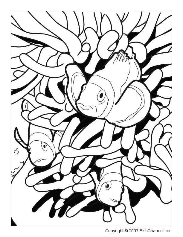 55 Underwater Ocean Coloring Pages For Adults 34