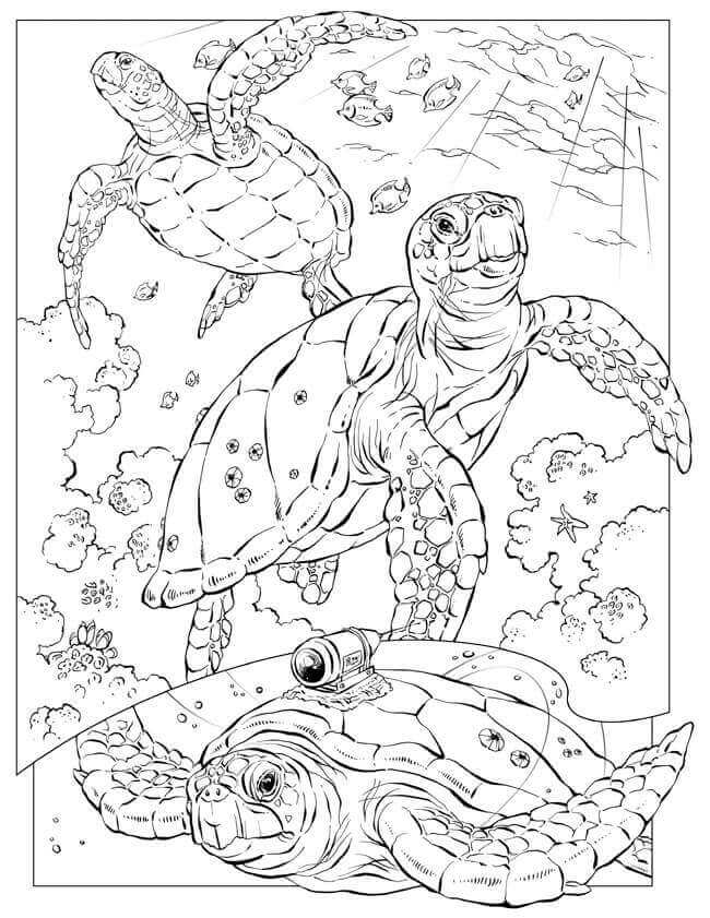 55 Underwater Ocean Coloring Pages For Adults 40