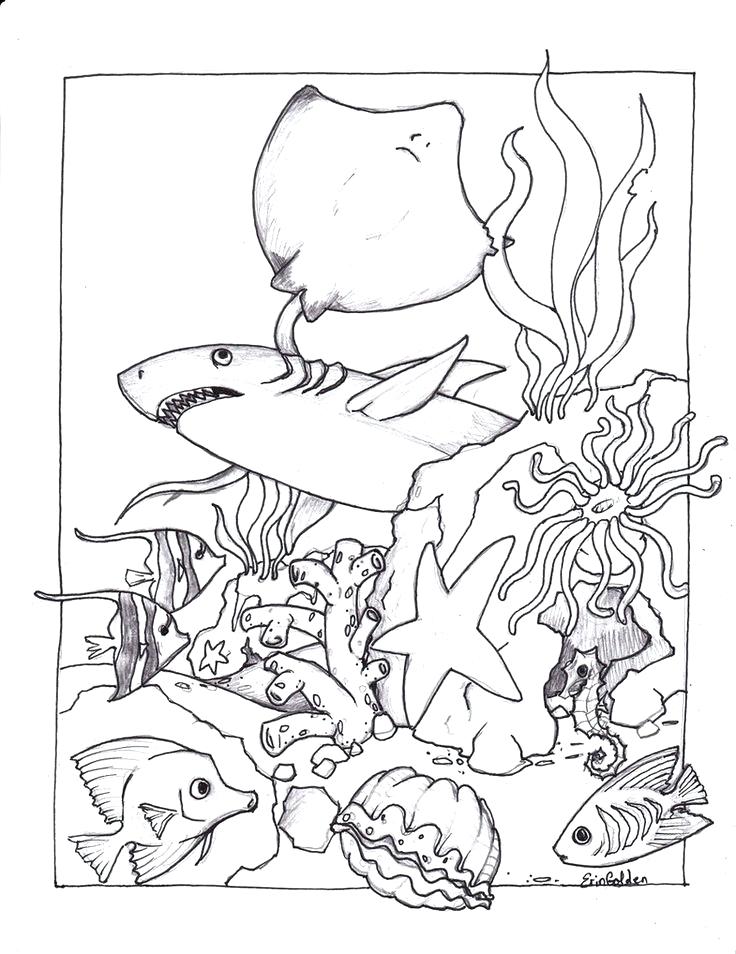 55 Underwater Ocean Coloring Pages For Adults 52