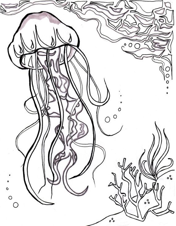 55 Underwater Ocean Coloring Pages For Adults 54