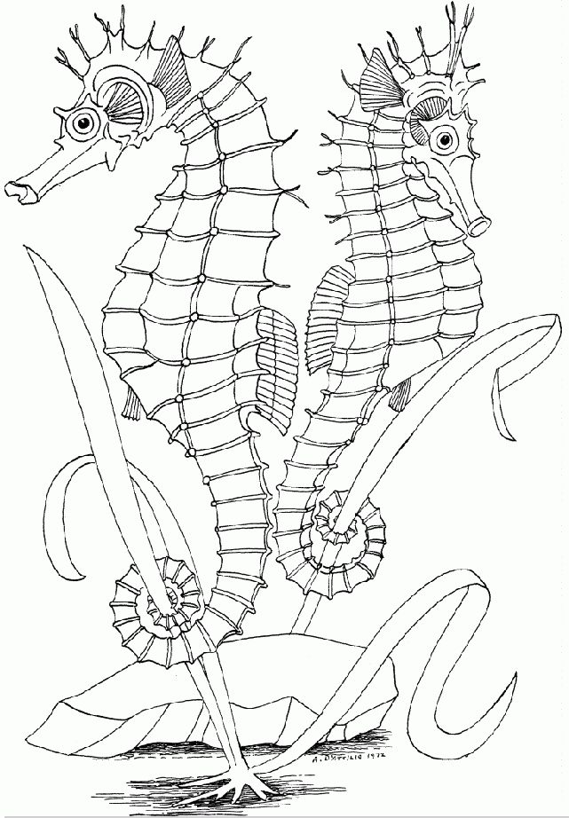 55 Underwater Ocean Coloring Pages For Adults 61