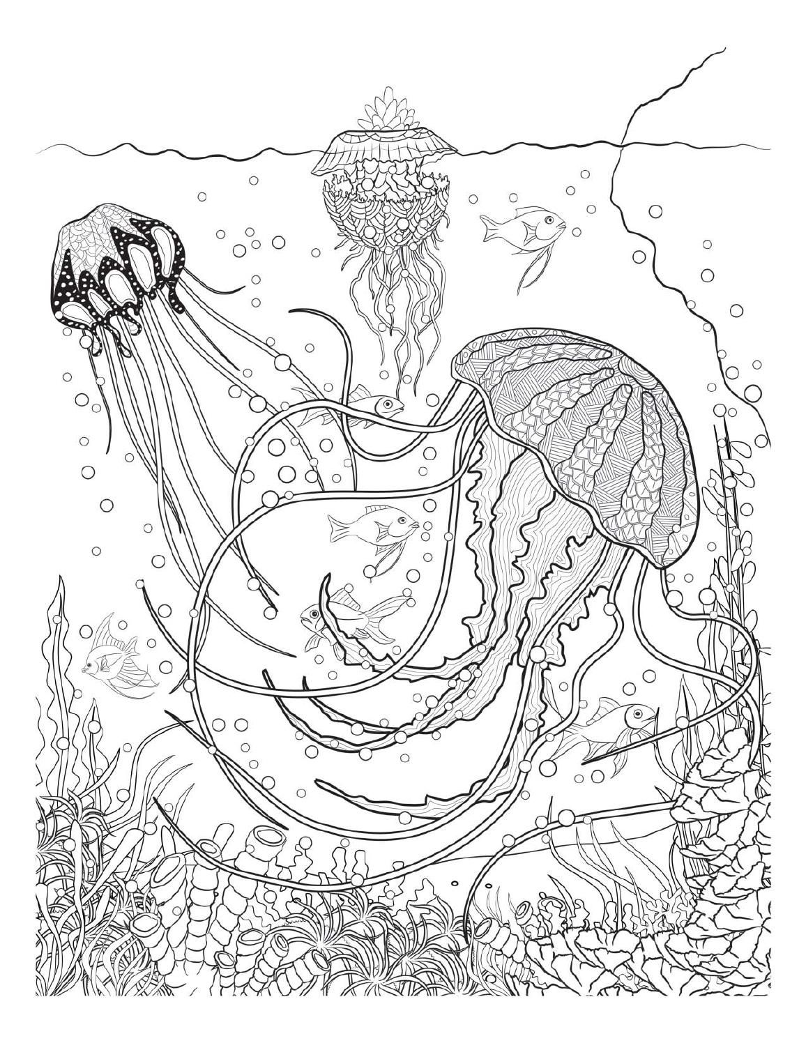 55 Underwater Ocean Coloring Pages For Adults 63