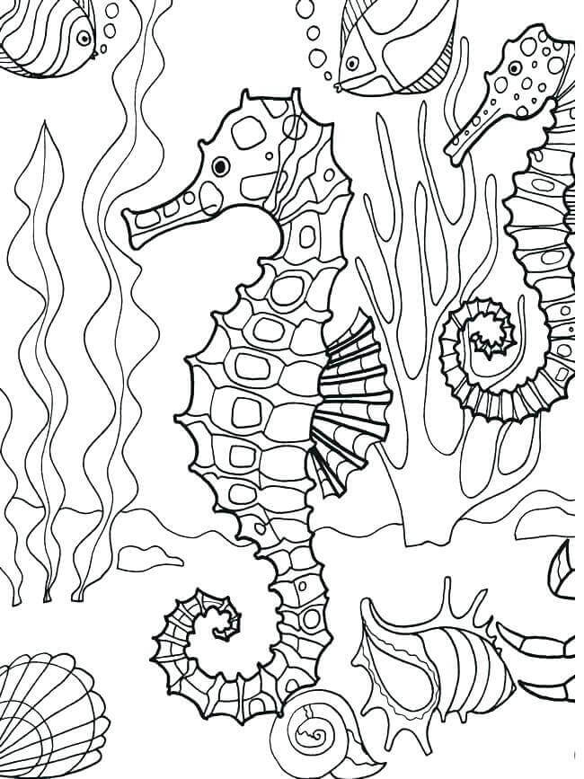 55 Underwater Ocean Coloring Pages For Adults 68