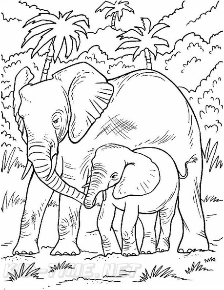 60 Realistic Elephant Coloring Pages 68