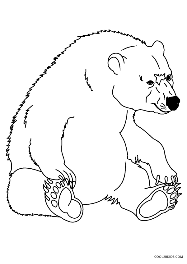 65 Realistic Bear Coloring Pages 28