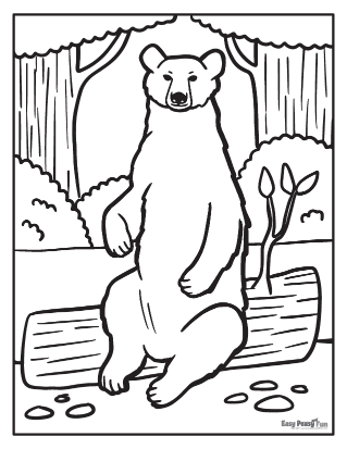 65 Realistic Bear Coloring Pages 29