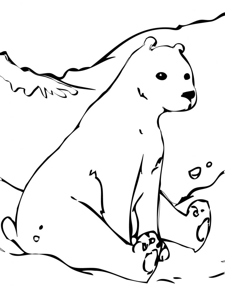 65 Realistic Bear Coloring Pages 30