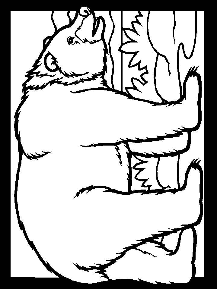 65 Realistic Bear Coloring Pages 31