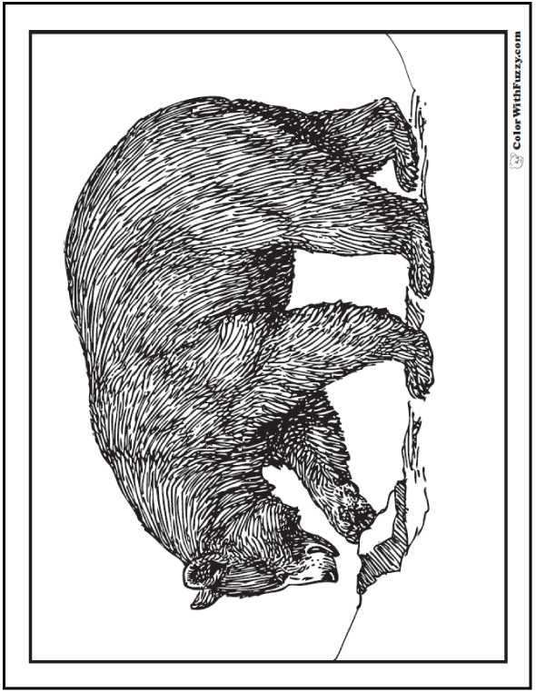 65 Realistic Bear Coloring Pages 33