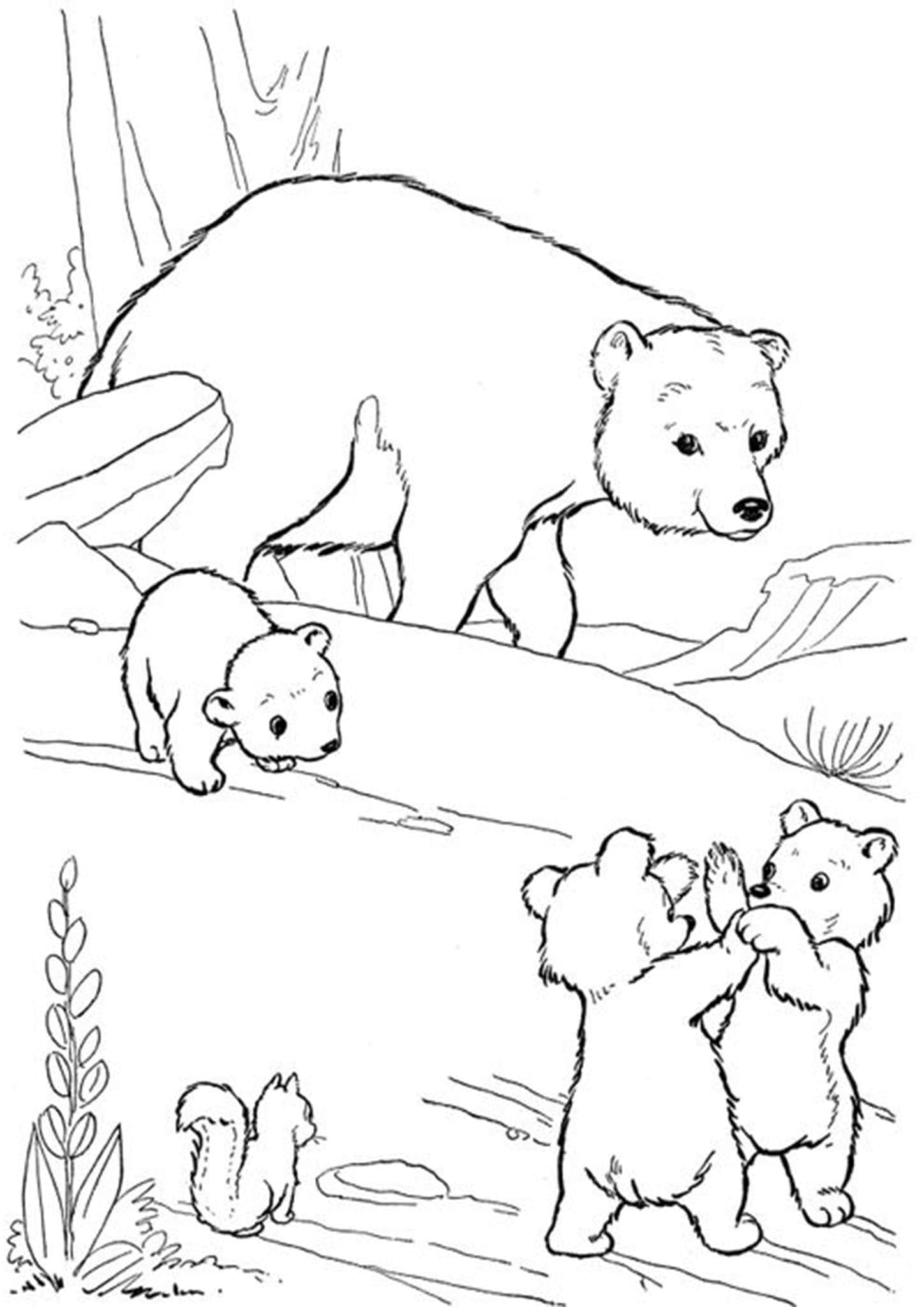 65 Realistic Bear Coloring Pages 35