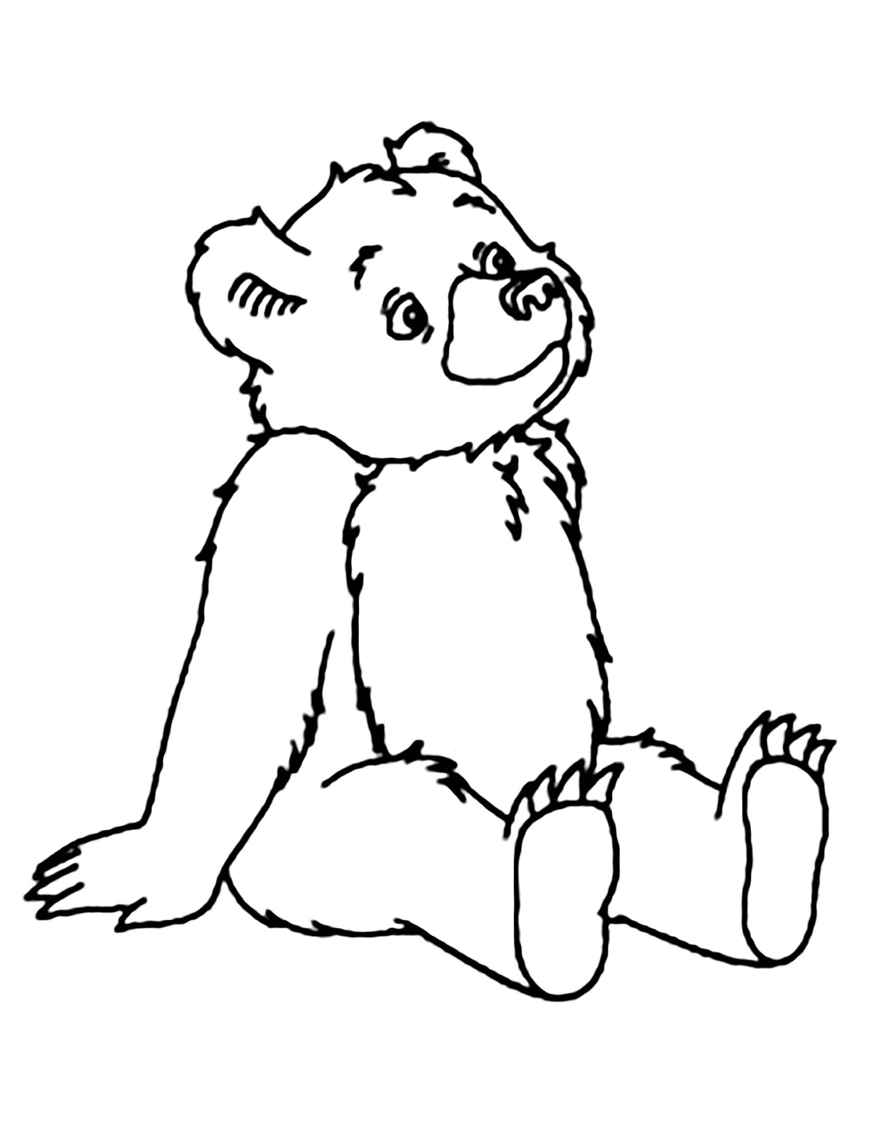 65 Realistic Bear Coloring Pages 36