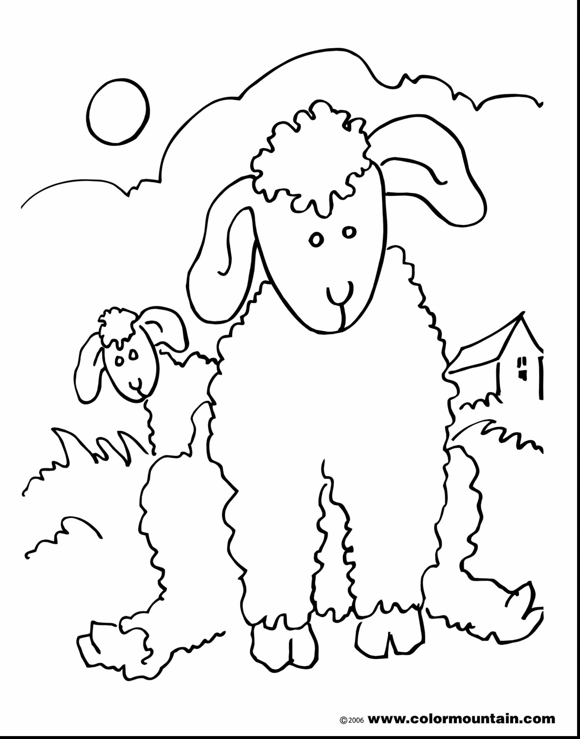 60 Printable Coloring Pages Of Sheep 3