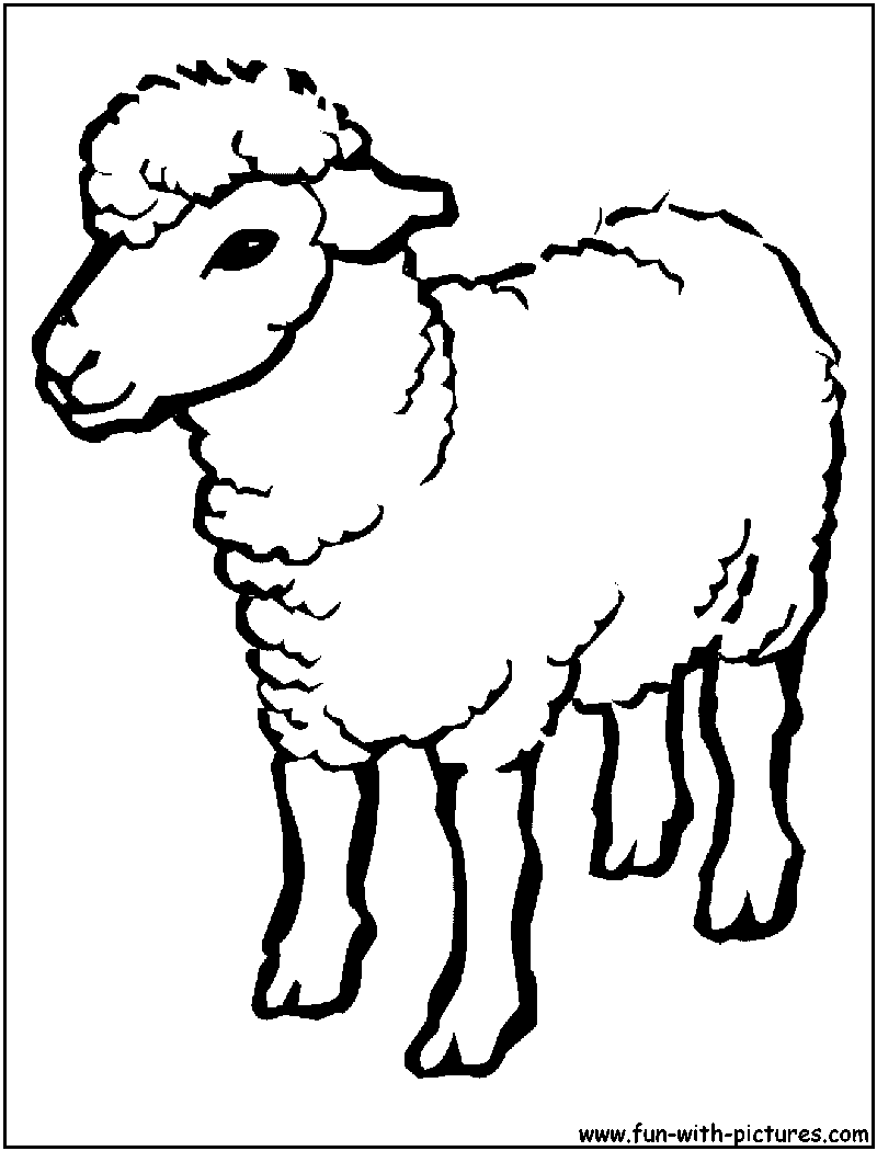 60 Printable Coloring Pages Of Sheep 6