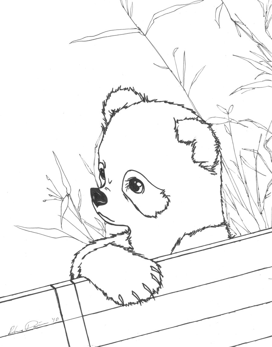 60 Printable Coloring Pages Panda 6