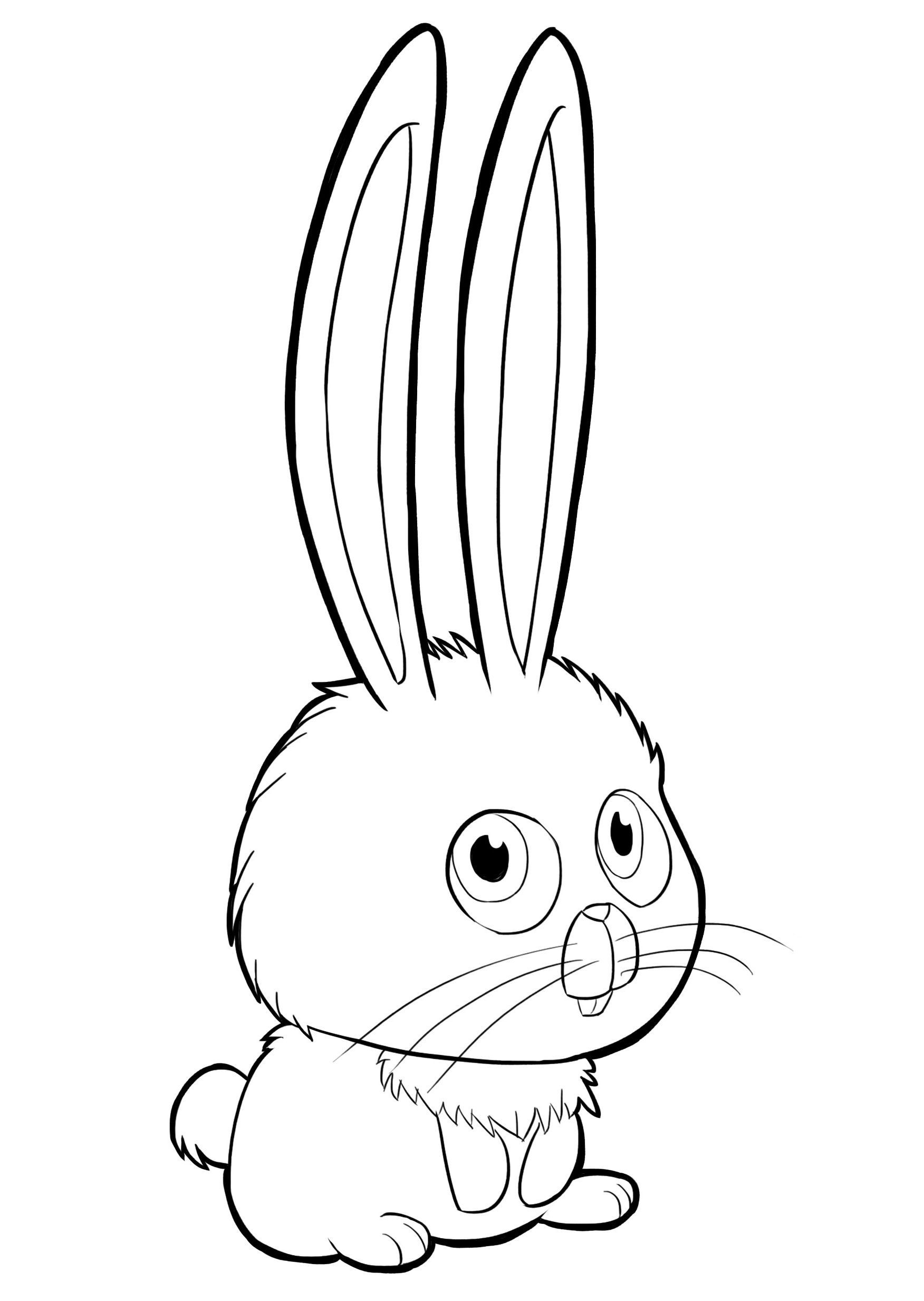 Get 85 Bunny For Coloring Ideas 47